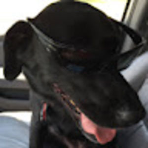 Meet your Posher, Rob